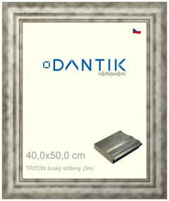DANTIK rám na obraz 40x50 | TRITON široký stříbrný (Sklo Čiré)