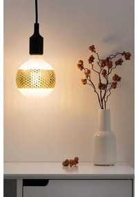 LED Stmievateľná žiarovka CLASSIC G125 E27/4,5W/230V 2500K - Paulmann 28770