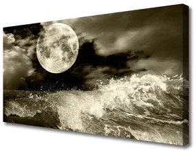 Obraz na plátne Noc mesiac príroda 100x50 cm