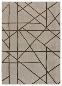 Svetlohnedý koberec 120x170 cm Lux – Universal