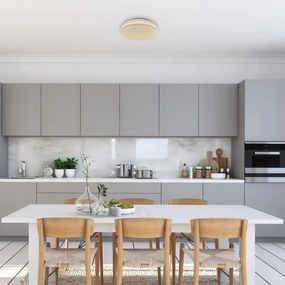 Rabalux 71182 - LED Stropné svietidlo TREVOR LED/18W/230V 3000K pr. 33 cm