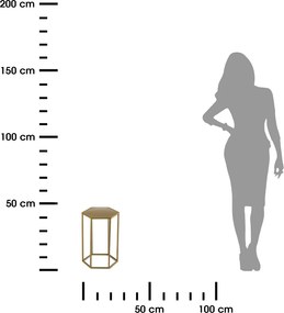 STOJAN NA KVETINÁČ HEXA 40X24X28 CM ZLATÁ