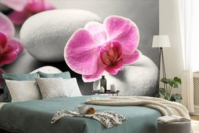Fototapeta kvety orchidey na kameňoch - 450x300