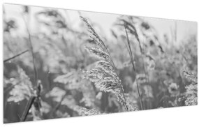 Obraz - Tráva vo vetre (120x50 cm)