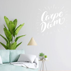 Veselá Stena Samolepka Carpe Diem (Užívaj dňa) Farba: biela, Veľkosť: 40 x 40 cm