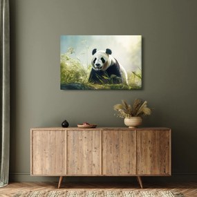 Obraz - Panda (90x60 cm)