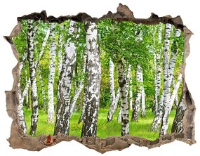 Nálepka fototapeta 3D výhled Brezového lesa nd-k-85613602