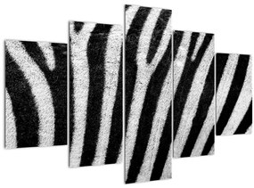 Obraz kože zebry (150x105 cm)