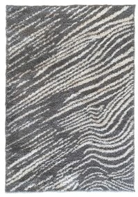 Koberec Shaggy Blizz 1,6/2,3 79869 strieborný