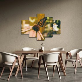Obraz motýľa na kvetine (150x105 cm)