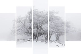 Obraz - Biela zima (150x105 cm)
