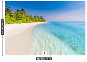 Fototapeta Vliesová Tropická pláž 416x254 cm