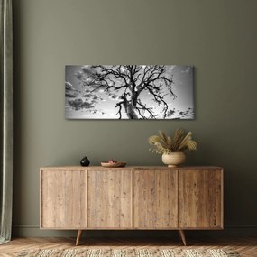 Obraz - Čiernobiely strom (120x50 cm)