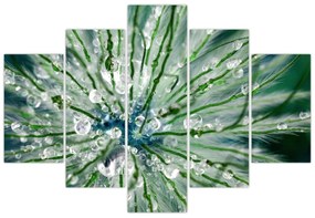 Obraz - Makro snímka kvetu (150x105 cm)