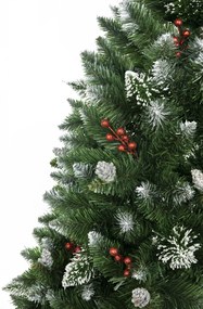 Vianočný stromček Borovica diamantová s jarabinou 220 cm