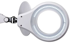 LED lampa s lupou MAULsource biela stmievateľná