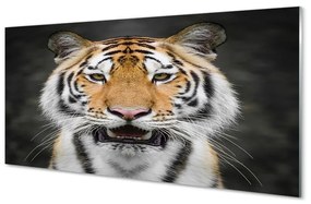 Sklenený obraz tiger 120x60 cm