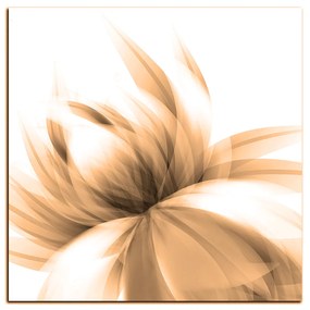 Obraz na plátne - Elegantný kvet - štvorec 3147FA (50x50 cm)