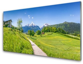 Skleneny obraz Hory lúka chodník údolí 140x70 cm