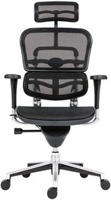 Kancelárska ergonomická stolička ERGOHUMAN — sieť, čierna, nosnosť 150 kg