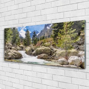 Obraz plexi Hora les kamene rieka 125x50 cm