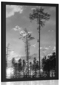 Plagát podvečer v lese v čiernobielom prevedení - 20x30 black