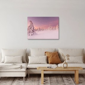 Obraz - Stromy pod snehovou prikrývkou (70x50 cm)
