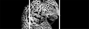 Obraz - Leopard (s hodinami) (90x30 cm)