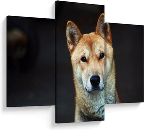 Obraz psa (90x60 cm)