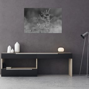 Obraz - Vidiecka lúka (90x60 cm)