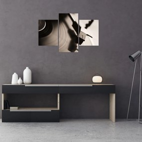 Obraz - Gramofónová doska (90x60 cm)