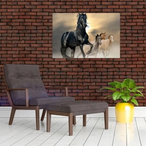 Obraz - Kone (90x60 cm)