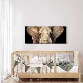 Obraz - Slon africký (120x50 cm)
