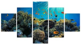 Obraz podmorského sveta