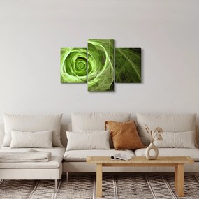 Obraz - Abstraktné ruže zelená (90x60 cm)