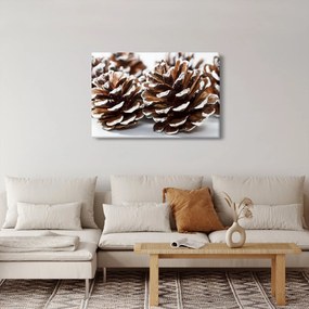 Obraz - Šišky (90x60 cm)