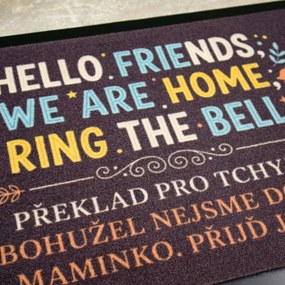 Mercury Flooring, Rohožka HELLO FRIENDS 40x60 cm - na von aj na doma, 40x60, šedá