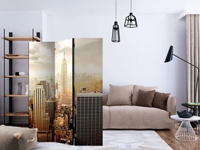 Artgeist Paraván - Uncombed by wind  [Room Dividers]