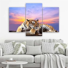 Obraz na plátně třídílný Tygr divoká zvířata - 90x60 cm