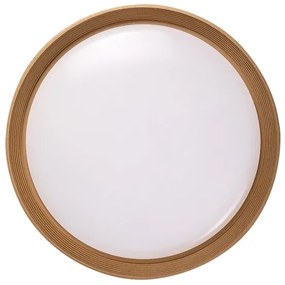 Rabalux 71308 - LED Stm. stropné svietidlo LADAN LED/48W/230V 3000-6500K + DO