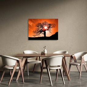 Sklenený obraz - Dub pri západe slnka (70x50 cm)