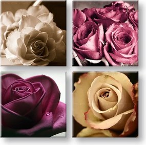 Obraz na stenu  Kingdom of roses 4 dielny XOBKOL29E42