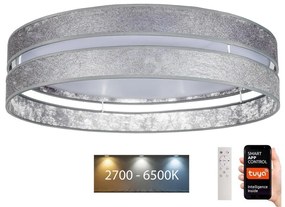 Belis LED Stmievateľné stropné svietidlo LIMA LED/36W/230V Wi-Fi Tuya + DO strieborná BE0883