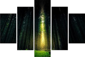 Obraz temného lesa (150x105 cm)