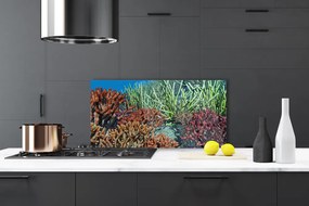 Sklenený obklad Do kuchyne Koralový útes príroda 100x50 cm