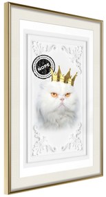 Artgeist Plagát - The King Cat [Poster] Veľkosť: 30x45, Verzia: Zlatý rám s passe-partout