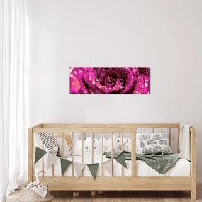 Obraz ružového kvetu ruže (s hodinami) (90x30 cm)