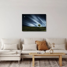 Sklenený obraz polárna žiara nad vresoviskom (70x50 cm)