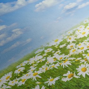 Obraz rozkvitnutej lúky s margarétkami (s hodinami) (90x30 cm)