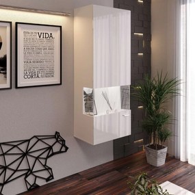 VITRÍNA ALEX BIELY LESK 50 x 130 cm